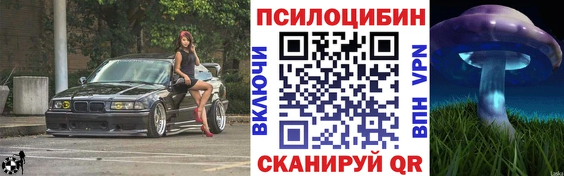 Псилоцибиновые грибы GOLDEN TEACHER  Купить закладки  Отрадное 